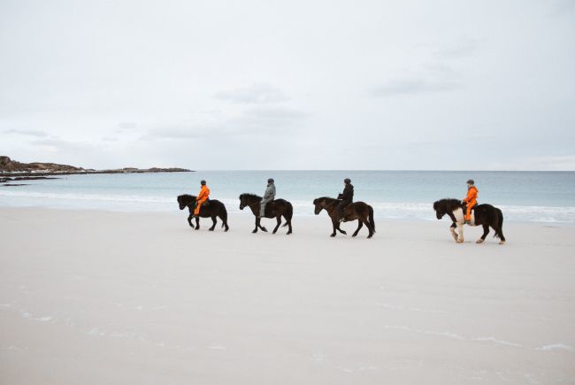 Folk som rir på kvit sandstrand i Lofoten om vinteren