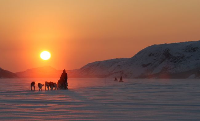 Dog sledding with huskies in the sunset. Photo: Apollonia Körner