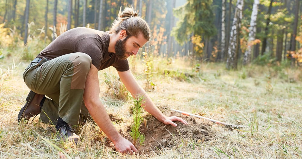 Responsibly sourced Australian Blackbutt timber 