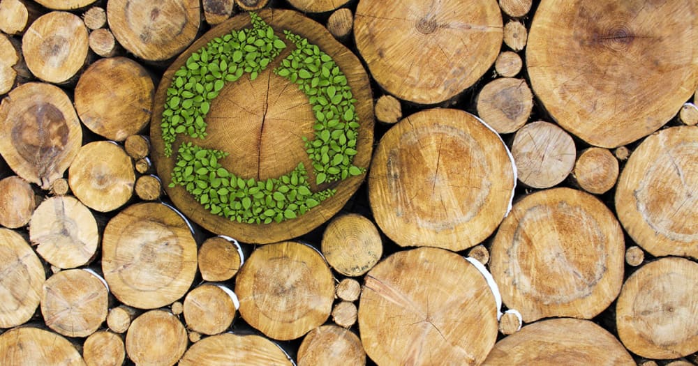 Timber and Sustainability - Engineered timber - the eco-friendly choice