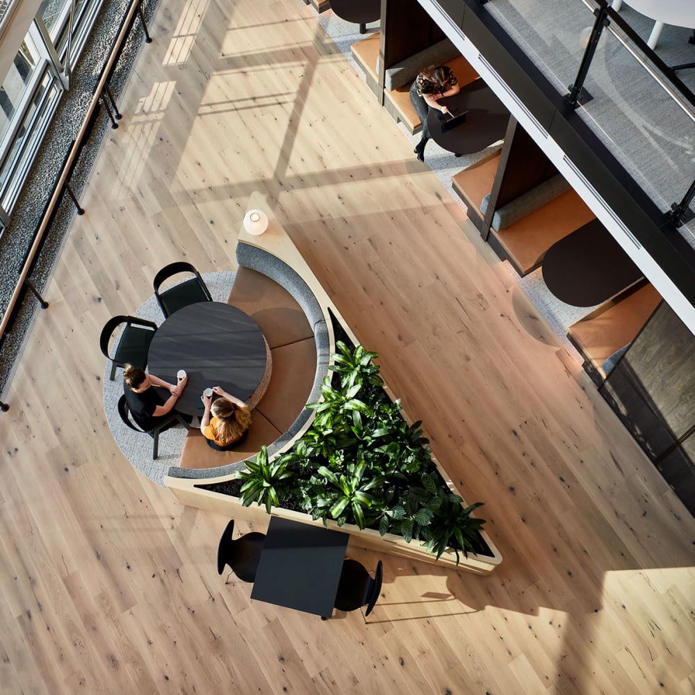 Case Study: QBE Office, Sydney NSW