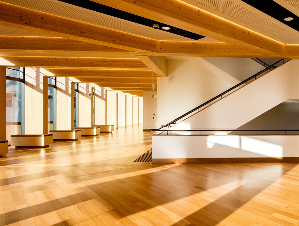 Light enters the Ainsworth Building highlighting the Havwoods Villa Midi Timber Flooring