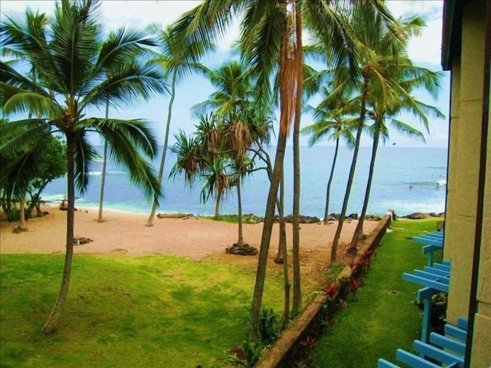 Kona Reef 3B 