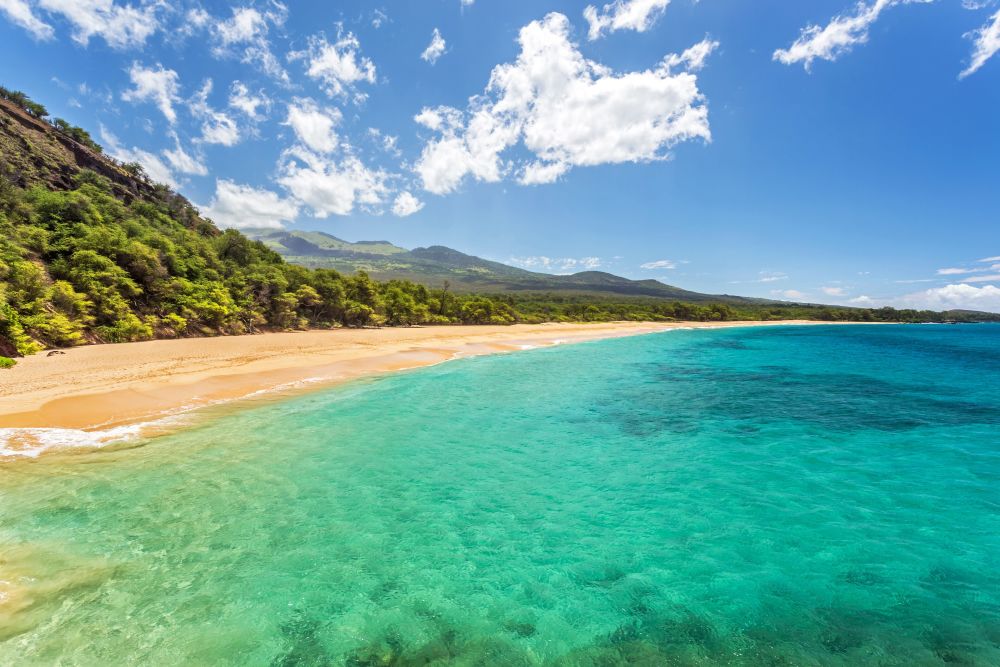 Hale Kamaole 4-334