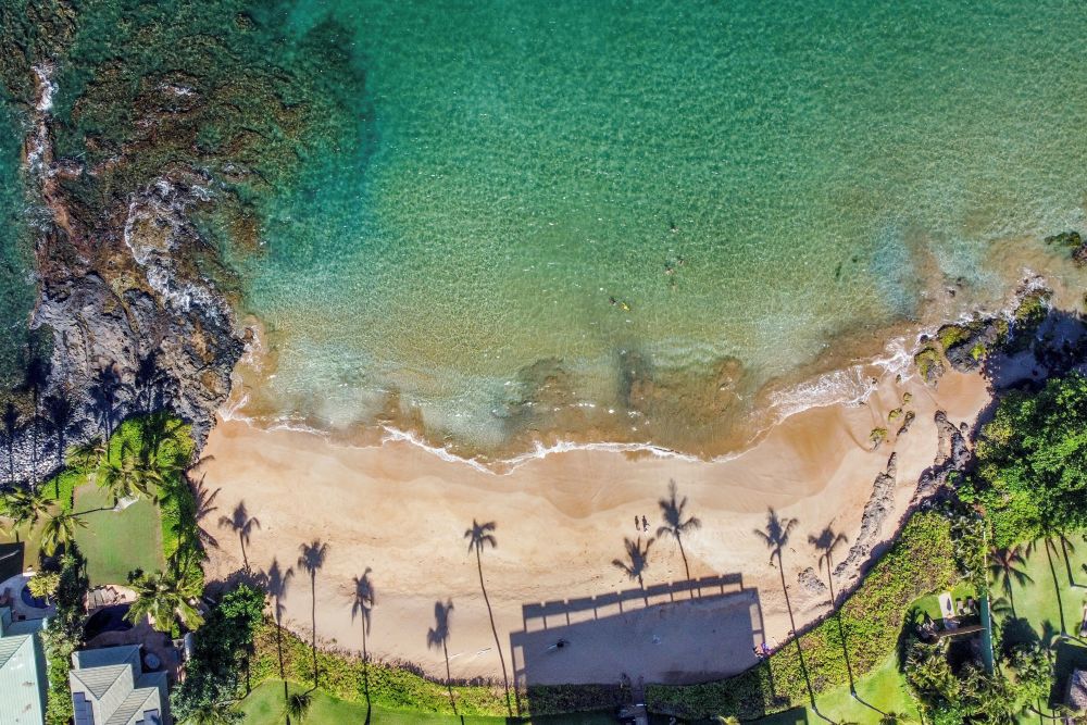 Polo Beach Club 209