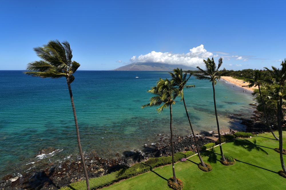 The Royal Mauian