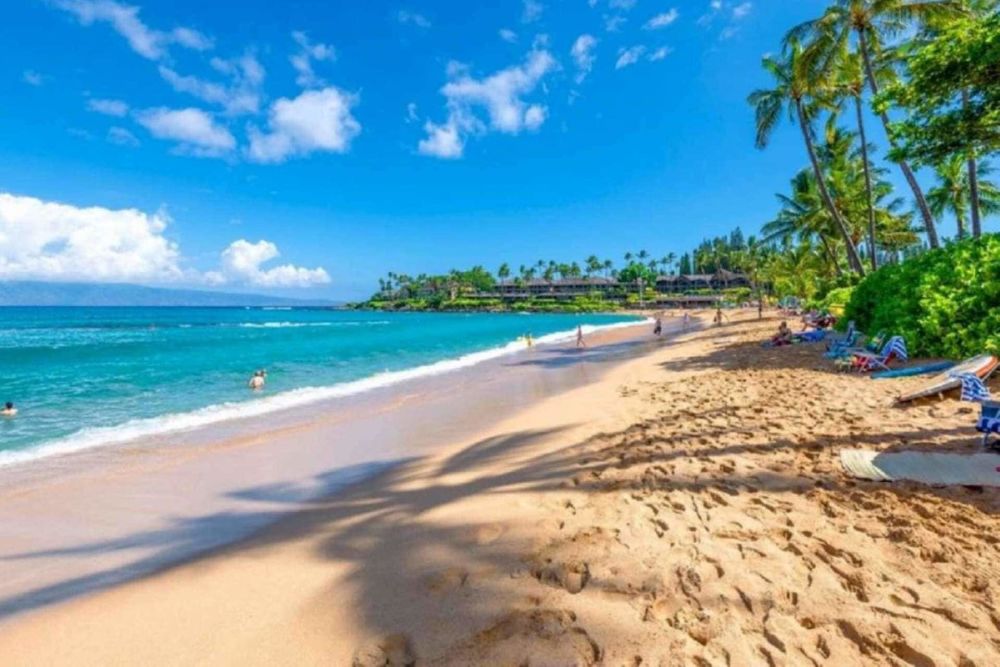 Napili Shores Resort F-245