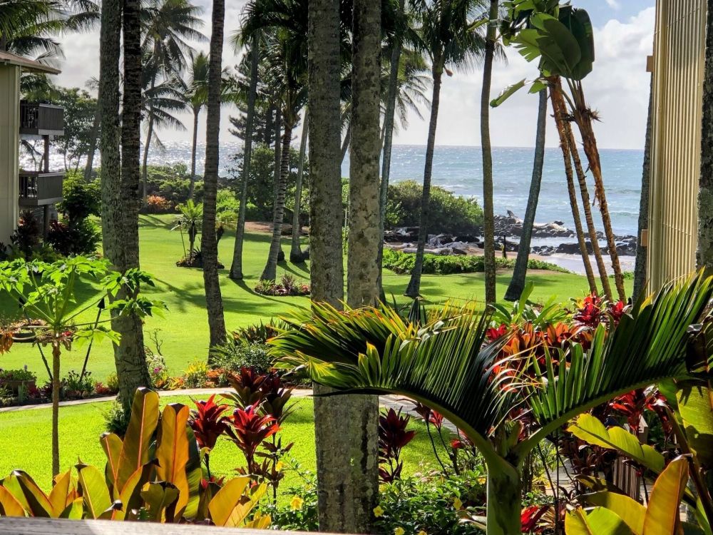 Lae Nani Condo unit 426 