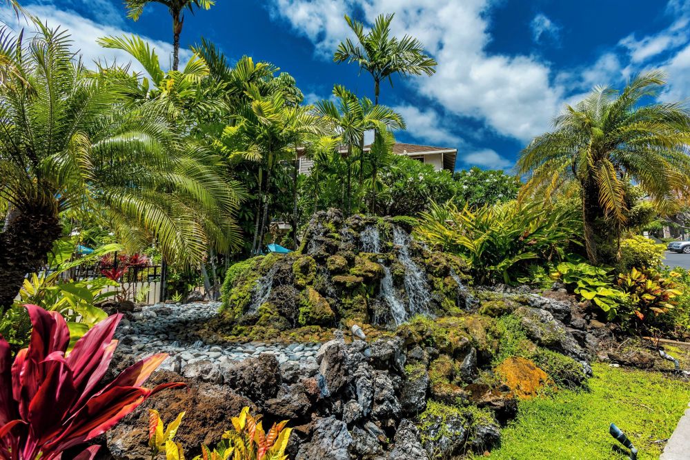 Wailea Grand Champions 50