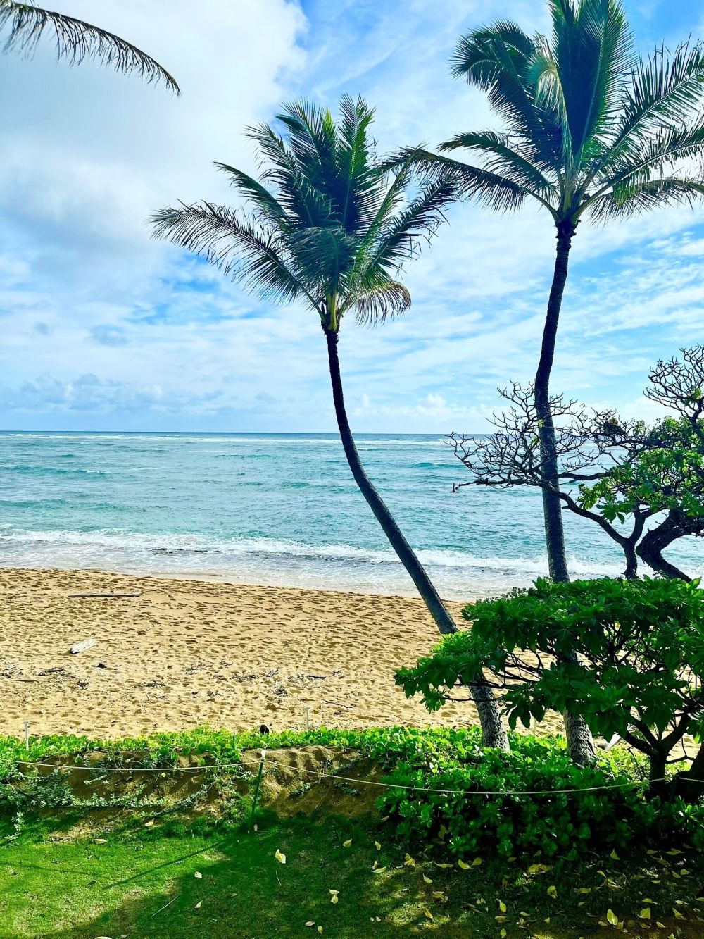 Kauai Kailani KKA 201