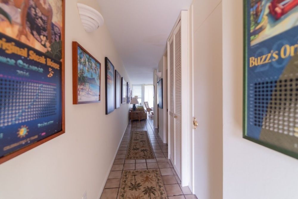 Turtle Bay Sea Shells