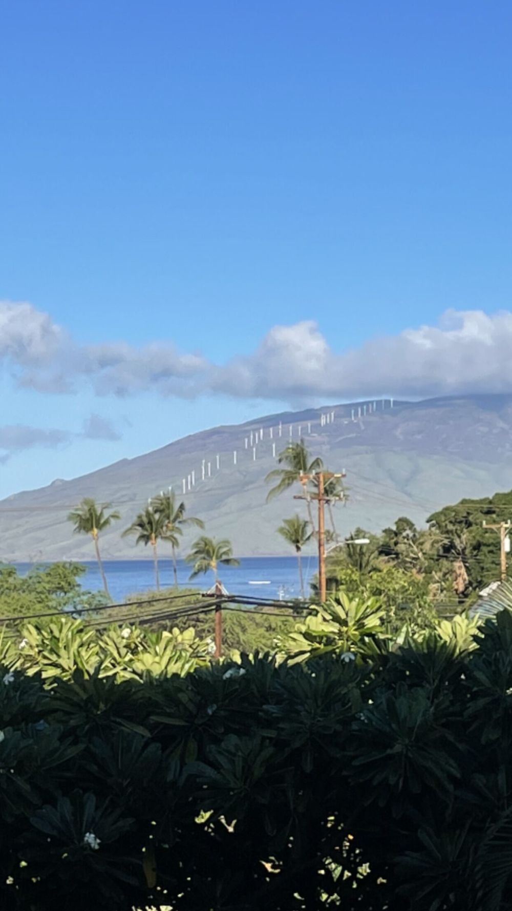 Maui Vista 1-319