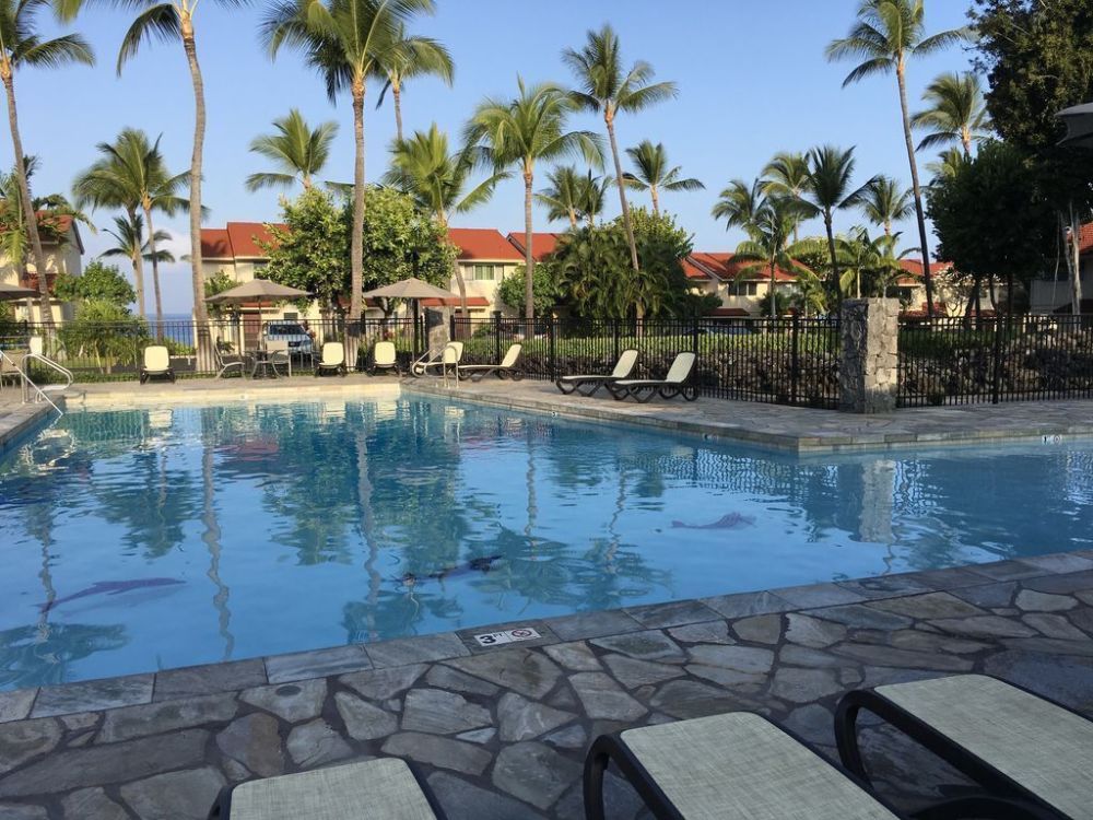 Surf & Racquet 7-103