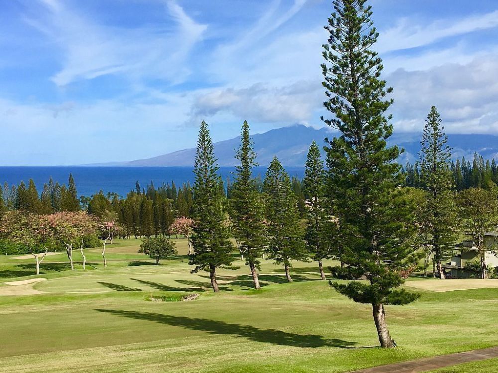 Kapalua Golf Villa 27V3