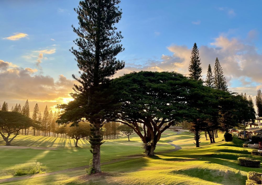 Kapalua Golf Villa 15T 7&8