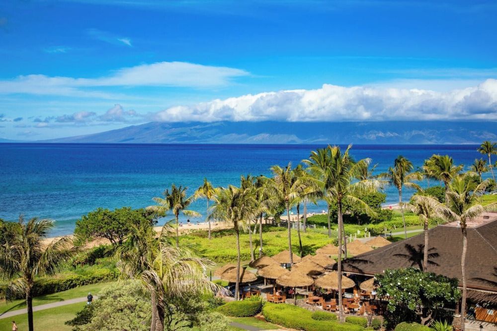 Honua Kai Konea 349