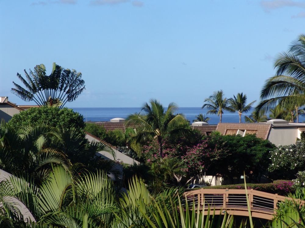 Maui Kamaole Large Lanai Condo