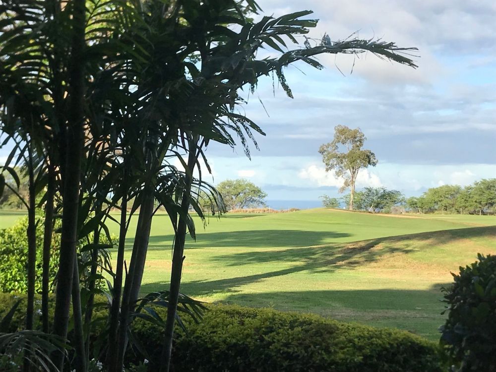 Waikoloa Fairway Villas End Unit Condo