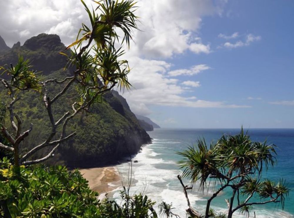 Sealodge 1 unit B-12