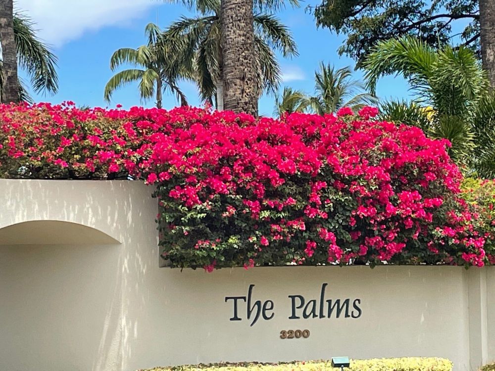 The Palms at Wailea 1301