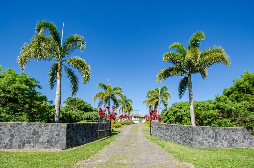 Hamakua Coast Tropical Home