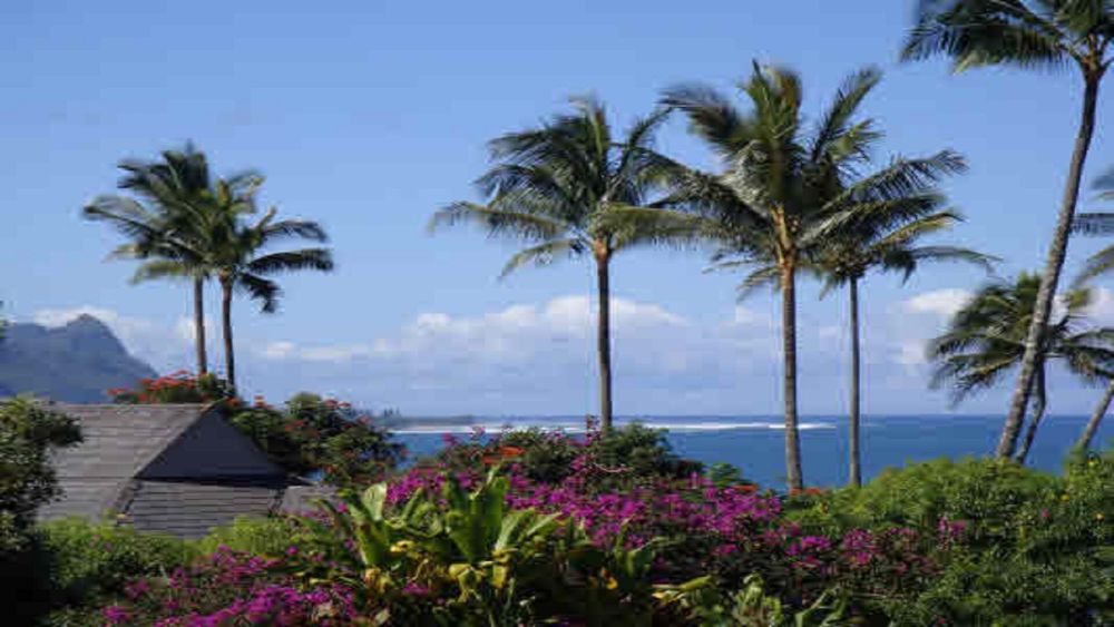 Treetop Paradise Condo Princeville Unit