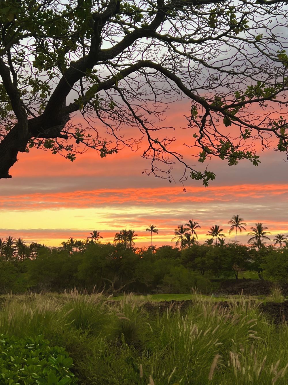 Fairways at Mauna Lani Rental