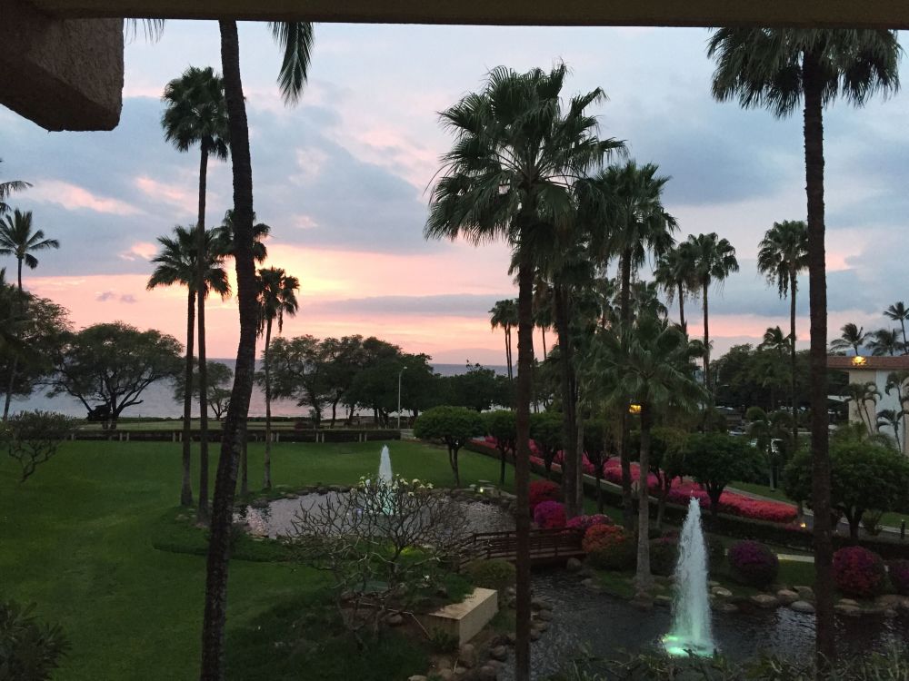 Kamaole Sands 10-317