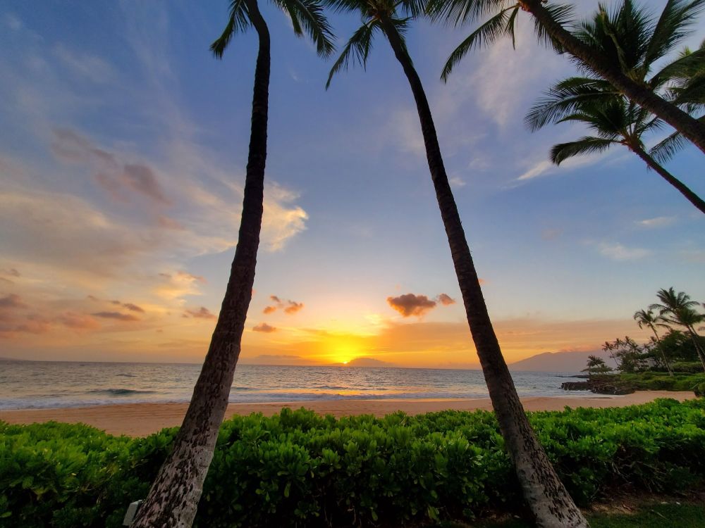 Koa Resort 5B 2-Bedroom