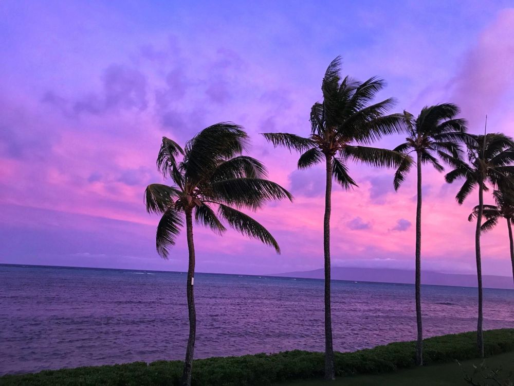 Molokai Mojo