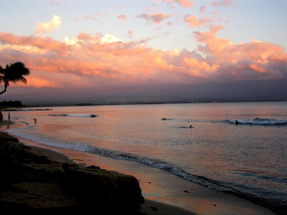 201 Kanai a Nalu/ Hau'oli LLC