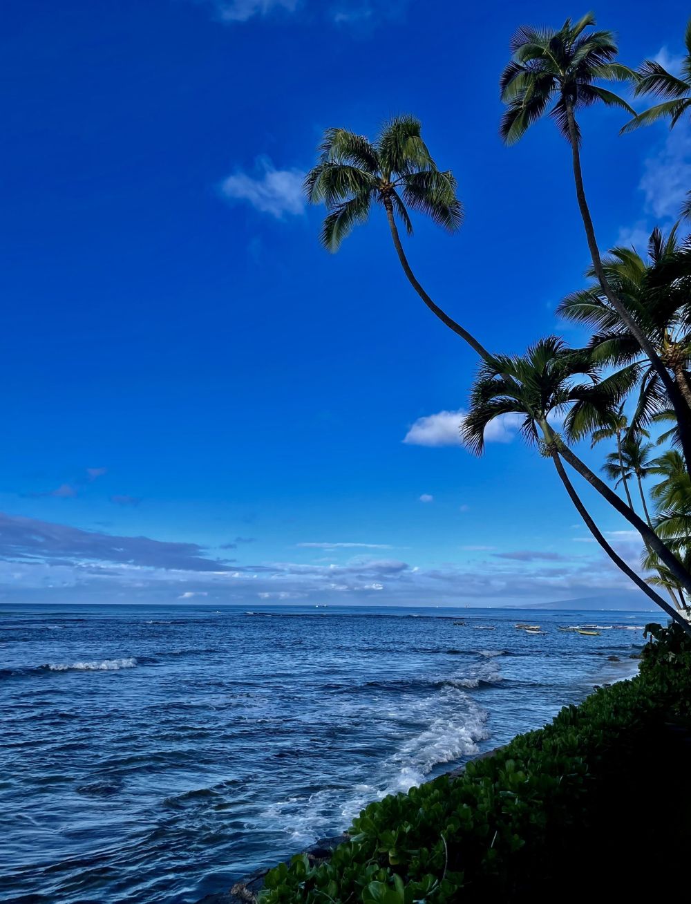 Diamond Head Beach Hotel 402