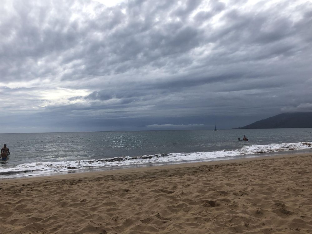 Anderson Maui  Dream Come True