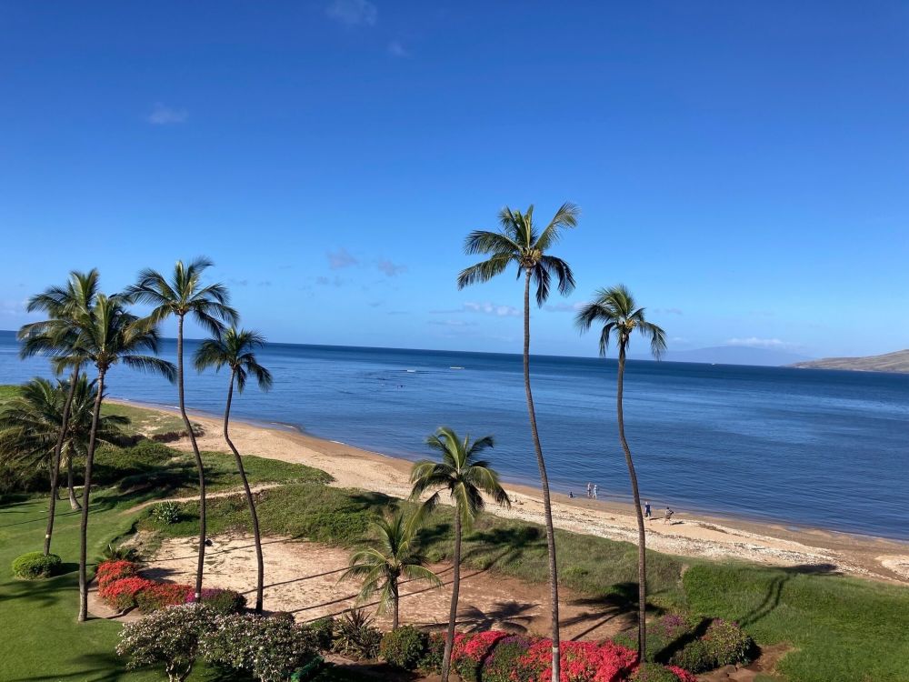 KOA Lagoon Condominiums