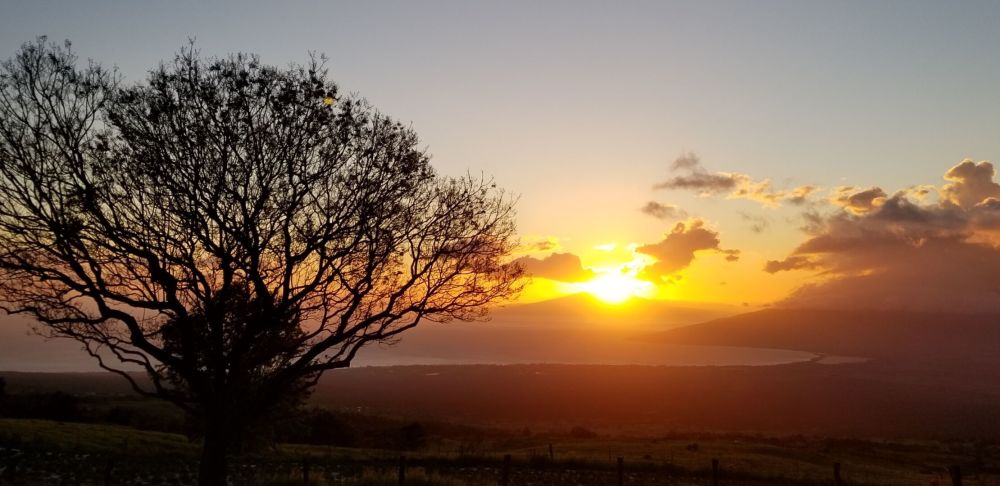 Kihei Bay Surf Studio Condo