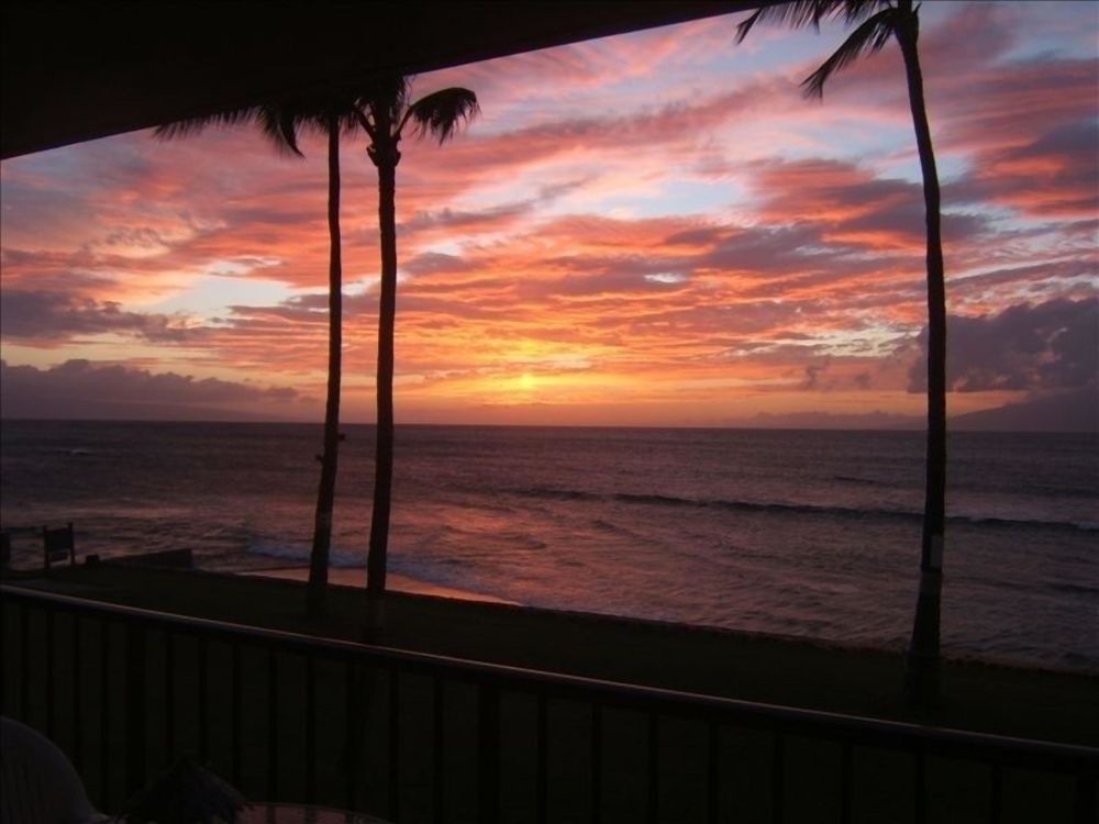 Papakea Resort Condo L204