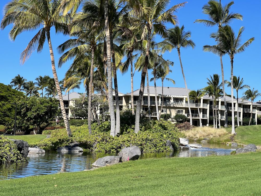 Vista Waikoloa F205