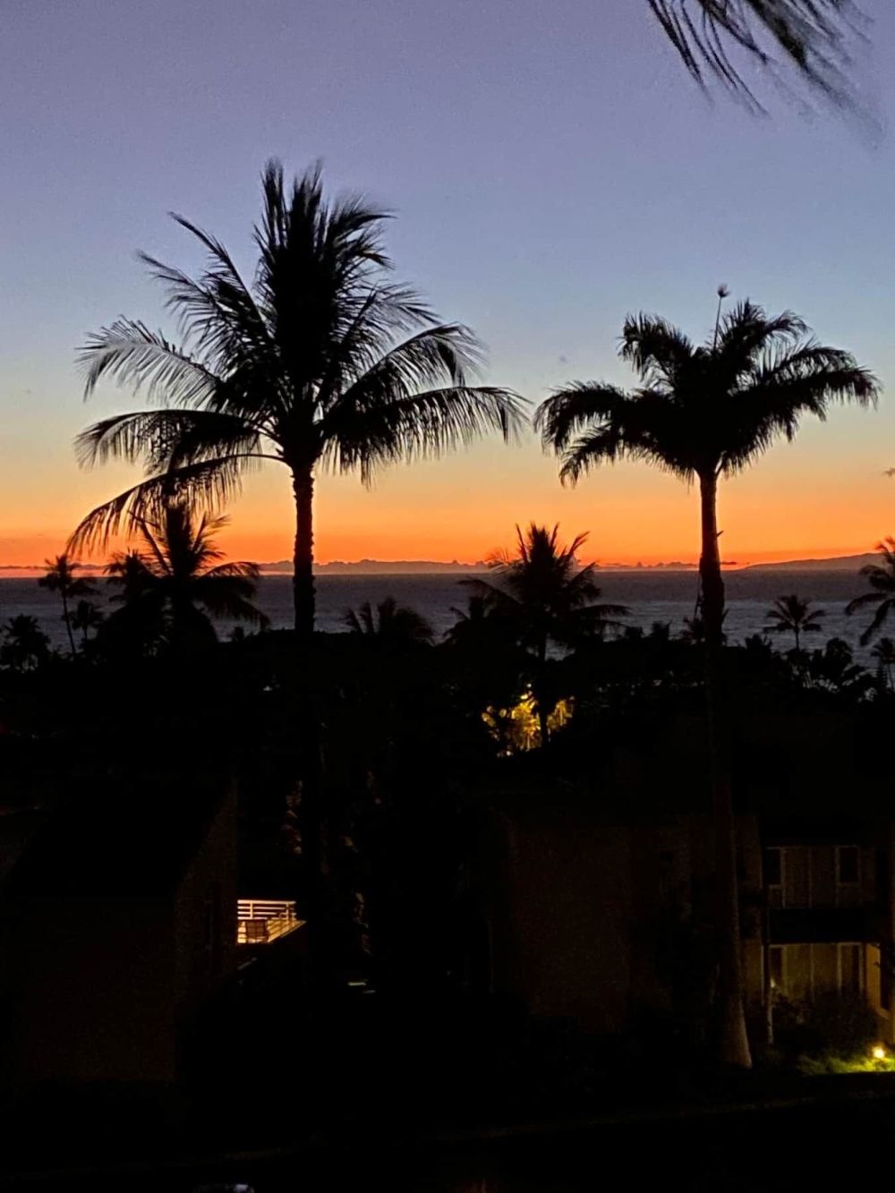 The Palms at Wailea 1202