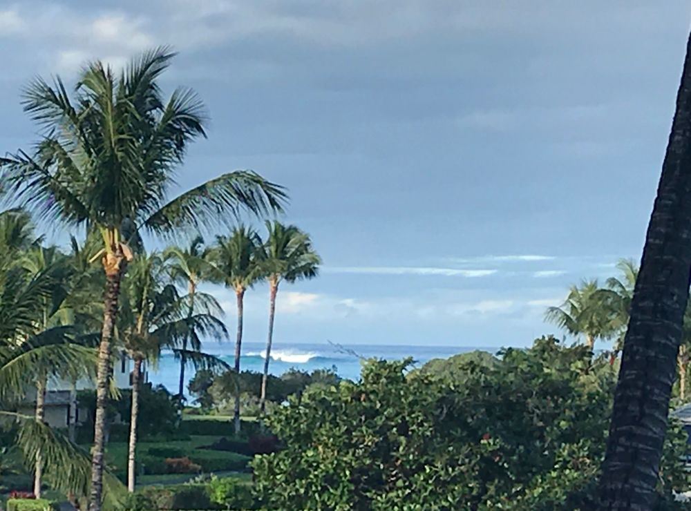 Vista Waikoloa A201