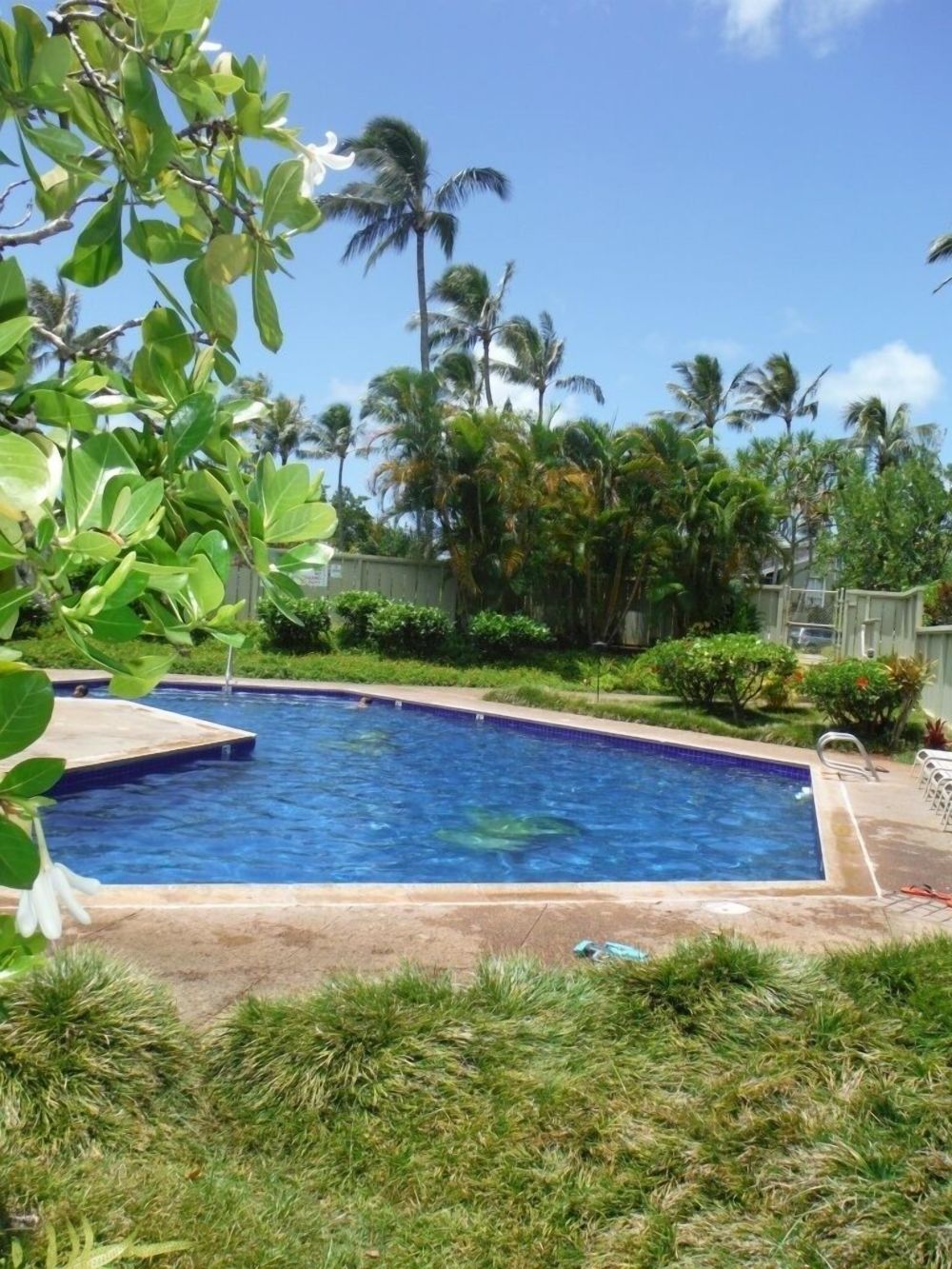 Elegant Resort Hideaway