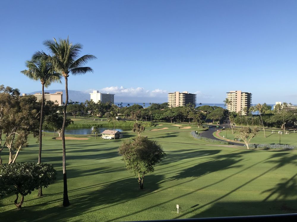 Kaanapali Royal M301