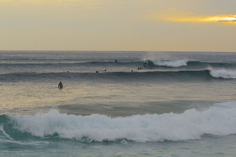 SeaShore 62