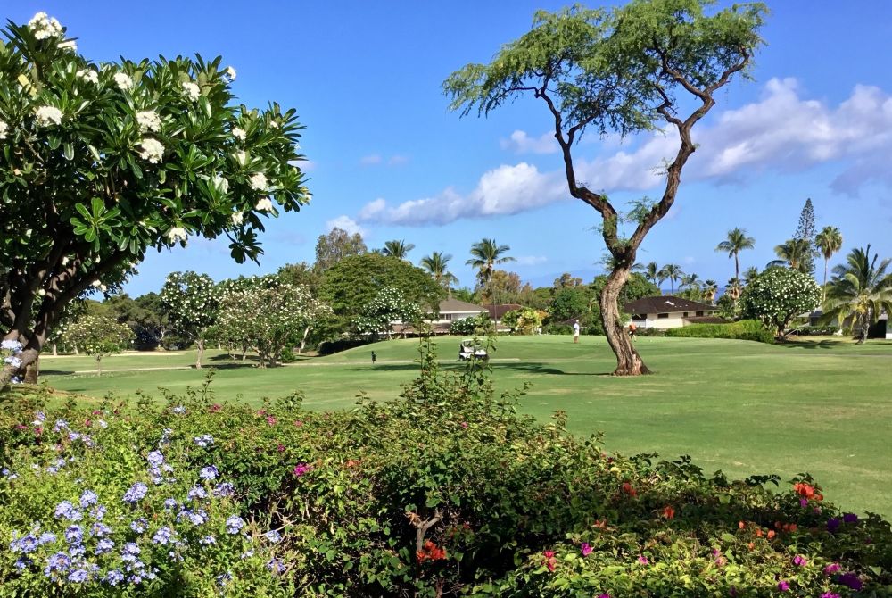 Grand Champions #157