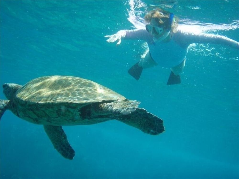 Haleakala Shores 404