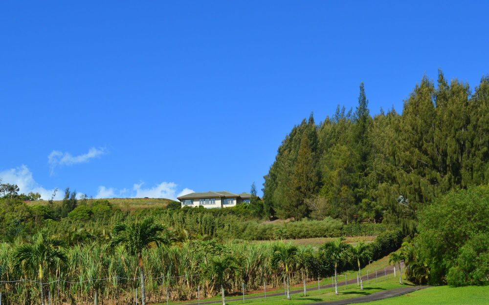 Maui Hilltop Retreat
