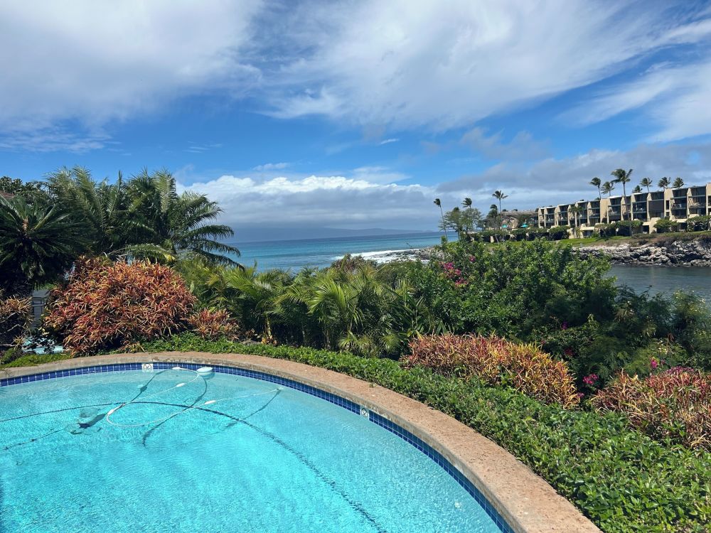 Hale O Ka Honu 'Turtle House'