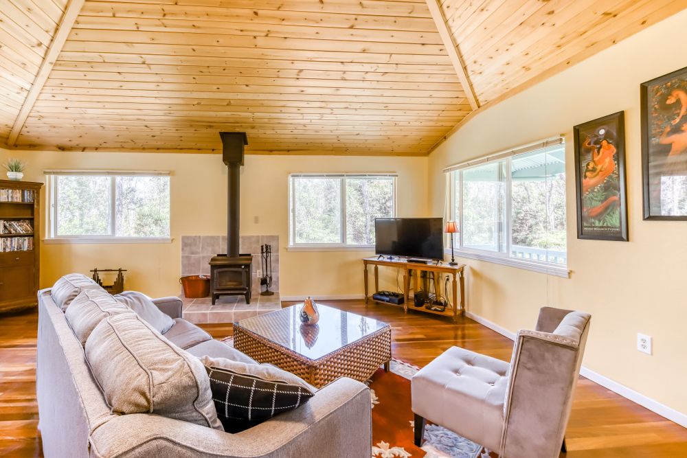 Kahu 'lo - Guardian Hawk