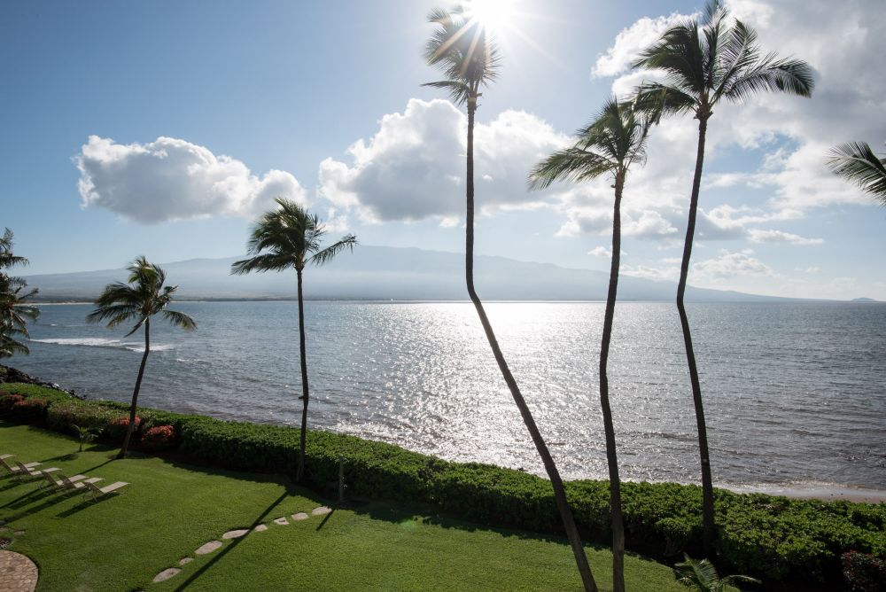 Ma'alaea Banyans with Haleakala Views