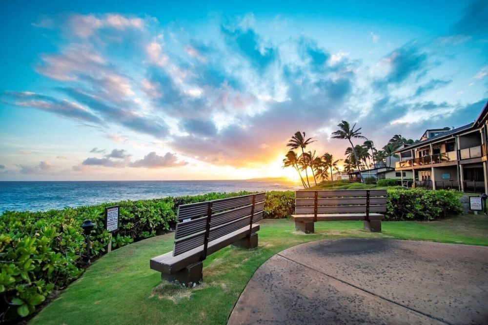 The Turquoise Turtle