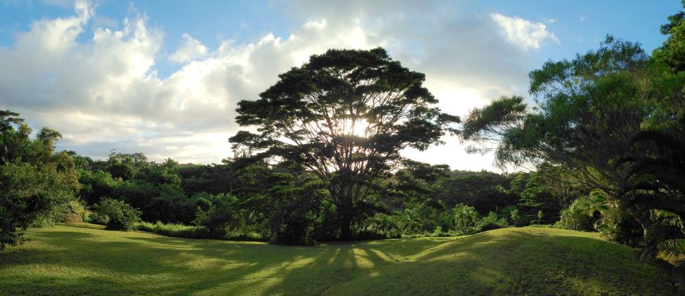 Mana Aina Private Studio Retreat